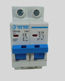 Boneega 1000V DC 2 Pole Circuit Breaker