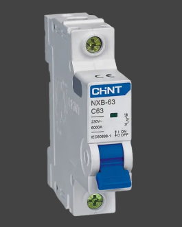 CHNT Small Circuit Breaker NXB-63 C20