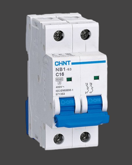 CHINT Miniature Circuit Breaker 4.5kA MCB 2pole EB-63C