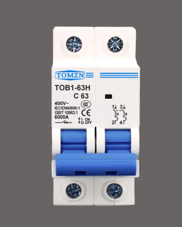 TOMZN TOB1-63H4P 2P C Type AC Mini Circuit Breaker