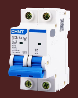 CHINT MCB NXB-63 2 POLE 6 KA CIRCUIT BREAKER