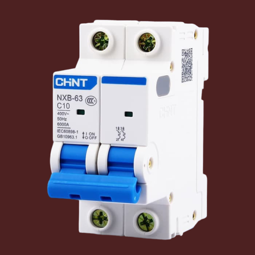 CHINT MCB NXB-63 2 POLE 6 KA CIRCUIT BREAKER