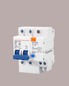 TOMZN DZ47LE-63 Main switch Residual current circuit breaker with surge protector