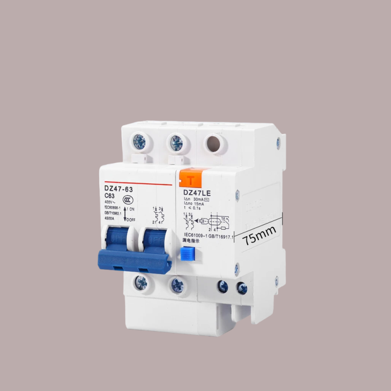 TOMZN DZ47LE-63 Main switch Residual current circuit breaker with surge protector