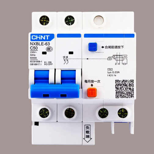 Chint Residual Current Circuit Breaker 2 Pole NXBLE-63