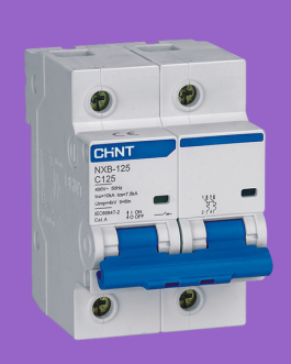 CHNT CHINT NXB-125 2P Miniature Circuit breaker MCB