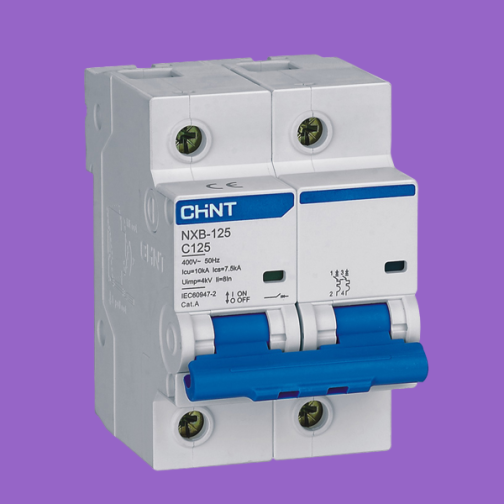 CHNT CHINT NXB-125 2P Miniature Circuit breaker MCB