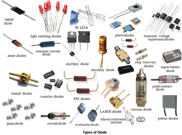 Exploring Electrical Components International